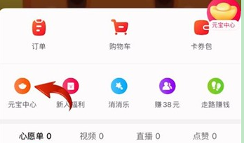 点淘元宝明细在哪里查看