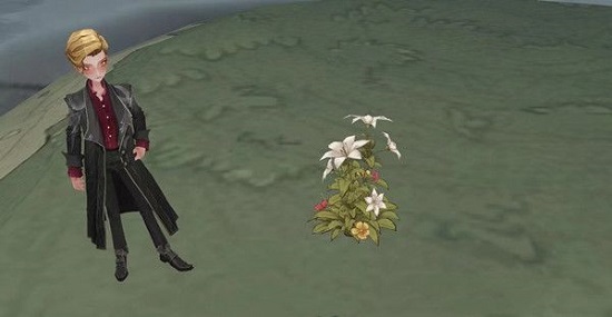 哈利波特魔法觉醒浇花彩蛋