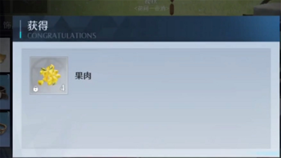 诺亚之心果肉怎么弄