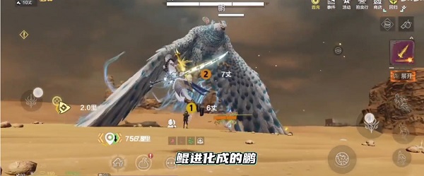 妄想山海鲲怎么进化鹏