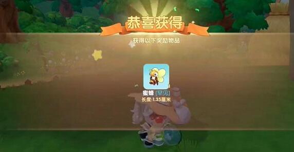 摩尔庄园蜜蜂怎么抓