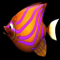 bigfisheatsmallfish
