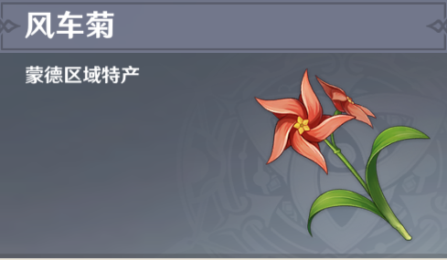 原神风车菊分布图最新