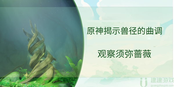 原神观察须弥蔷薇寻找隐藏歌曲攻略图文