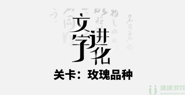 抖音文字进化玫瑰品种通关攻略