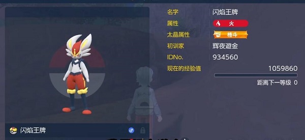 宝可梦朱紫闪焰王牌怎么打