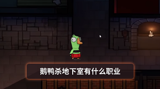 鹅鸭杀地下室有什么职业