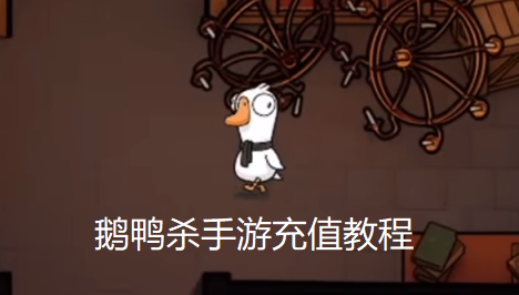 鹅鸭杀手游充值教程