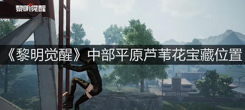 《黎明觉醒》藏宝图芦苇花地点 芦苇花宝藏位置