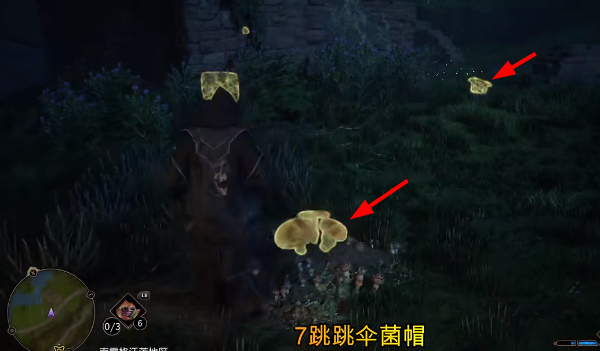 霍格沃茨之遗跳跳伞菌帽在哪