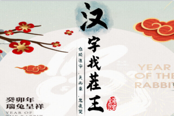 找兔子找出12只兔子汉字找茬王