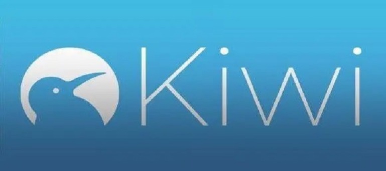 kiwi浏览器