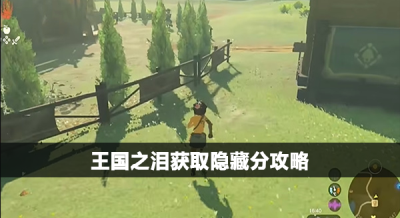 王国之泪获取隐藏分攻略