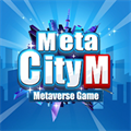MetaCity M安装