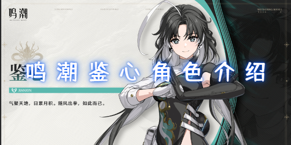 鸣潮鉴心角色介绍