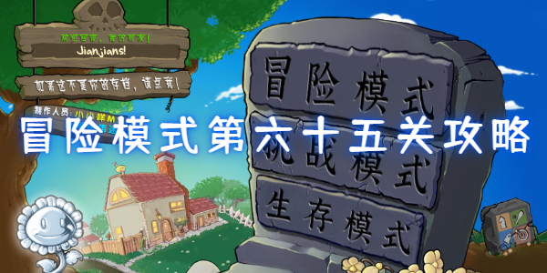 植物大战僵尸杂交版冒险模式第六十五关怎么过