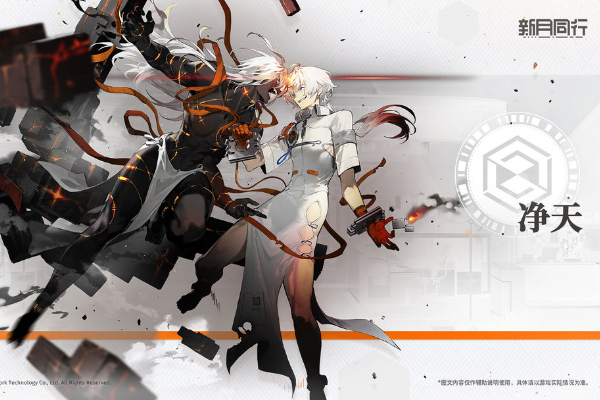 新月同行净天卡带选择攻略