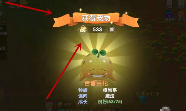 《摩尔庄园》精灵怎么获得？如何捕捉精灵