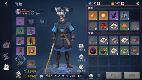 《冰原守卫者》存储满了解决方法