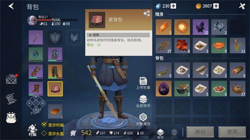 《冰原守卫者》存储满了解决方法