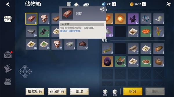 《冰原守卫者》道具收纳技巧