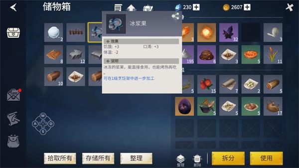 《冰原守卫者》道具收纳技巧