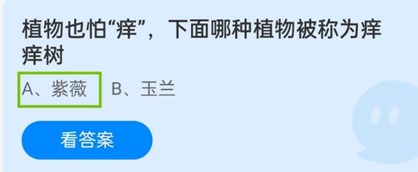 蚂蚁庄园植物也怕痒选什么 蚂蚁庄园哪种植物被称为痒痒树12.13