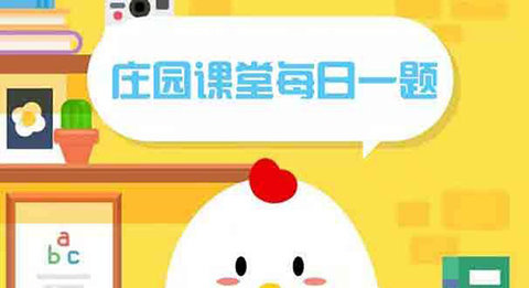 蚂蚁庄园快递单和购物小票 快递单和购物小票泄露个人信息吗
