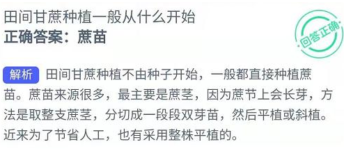 田间甘蔗种植一般从什么开始蚂蚁新村 蚂蚁新村1.7答案