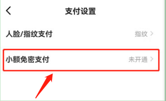闲鱼怎么开启免密支付