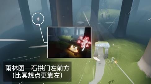 光遇雨林赏花任务怎么做 雨林赏花任务攻略2022