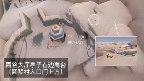 光遇雨林赏花任务怎么做 雨林赏花任务攻略2022