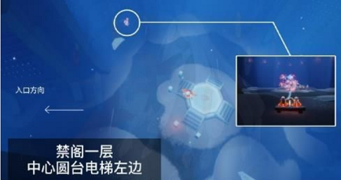 光遇雨林赏花任务怎么做 雨林赏花任务攻略2022