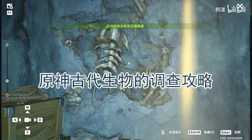 原神古代生物的调查攻略