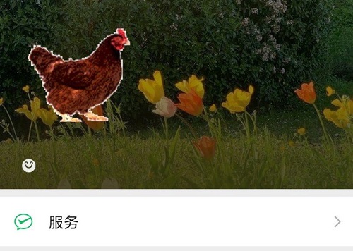 微信怎么养宠物教程