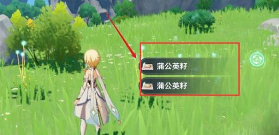 原神蒲公英籽哪里采集