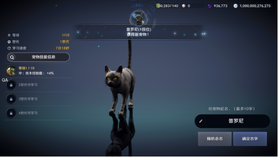 黑色沙漠手游黑色瘦猫任务攻略