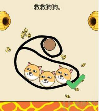 狗狗蜜蜂游戏是什么