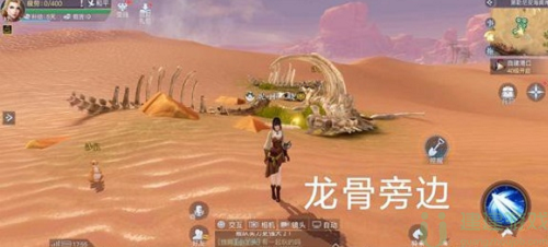 黎明之海美贝石在沙漠的哪里