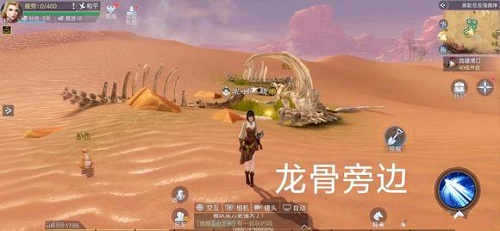 黎明之海美贝石出现的位置 美贝石位置一览