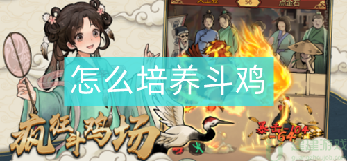 疯狂斗鸡场怎样培养新斗鸡
