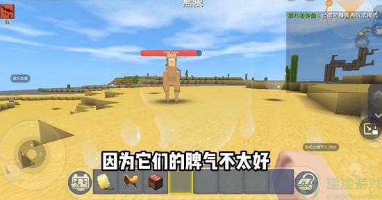 迷你世界骆驼怎么驯服