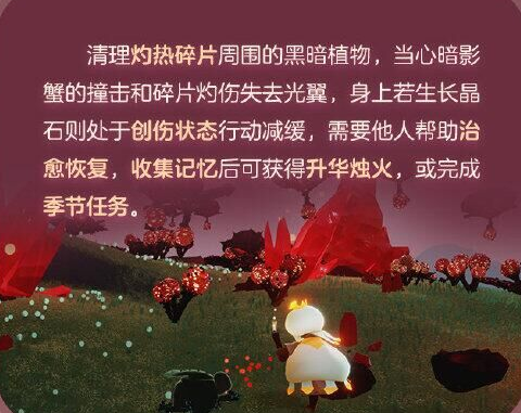 光遇破晓季国服什么时候开始