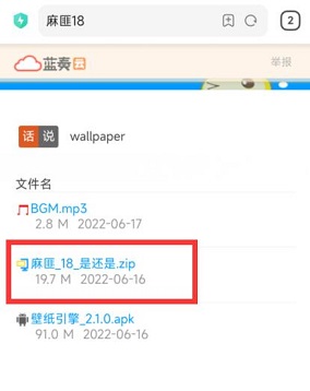 麻匪壁纸文件下载教程