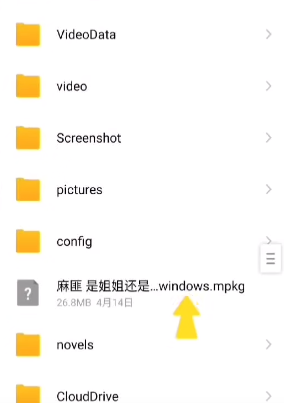 麻匪壁纸文件下载教程