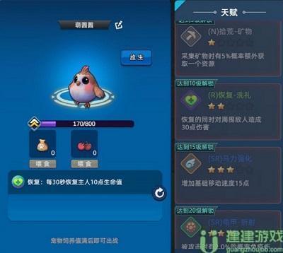 幸存者传说宠物图鉴