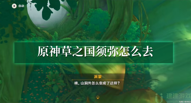原神草之国须弥怎么去