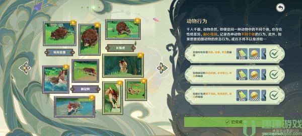原神动物行为拍照攻略
