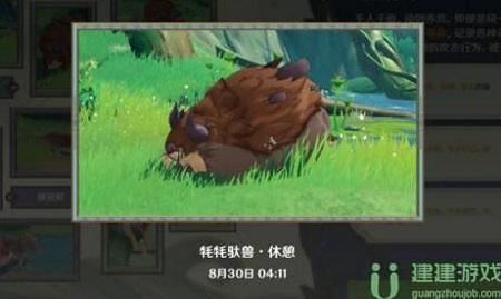 原神动物行为拍照攻略