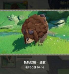 原神动物行为拍照攻略